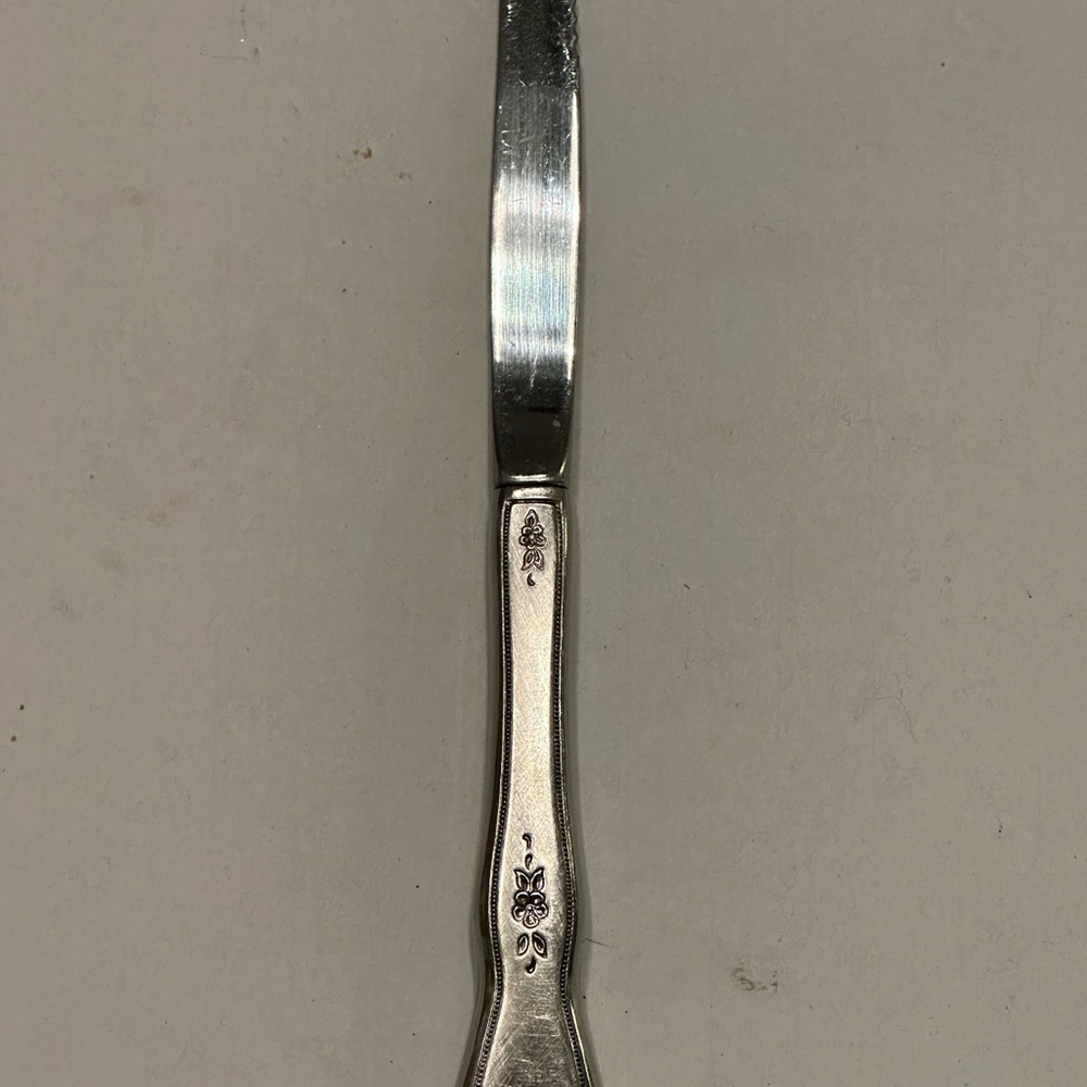 Oneida Morning Blossom Stainless Steel Serrated Steak Knife